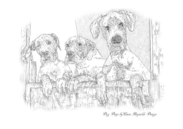 CREATE - Colouring Templates - Channel your inner calm by colouring in!